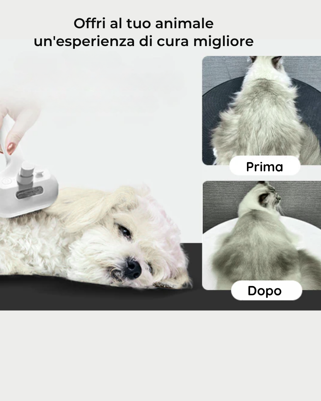 HelvePet™
